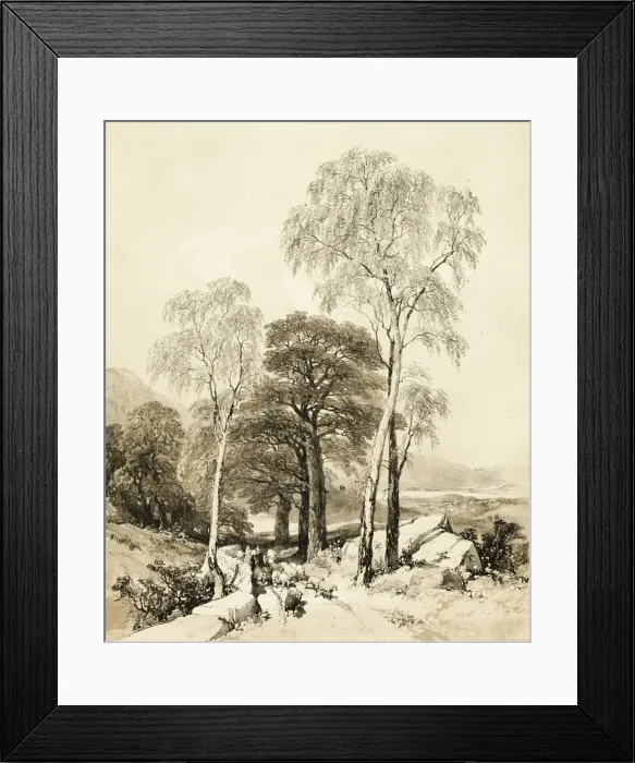 Framed Print : Birch and Oak, from The Park and the Forest, 1841. Creator: James Duffield Harding Framed Print : Birch and Oak, from The Park and the Forest, 1841. Creator: James Duffield Harding