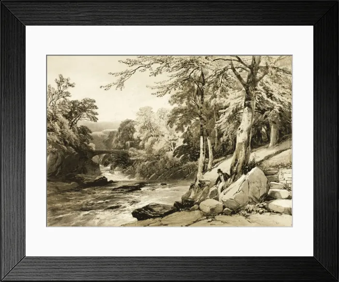 Framed Print : Beech and Ash on the Greta, from The Park and the Forest, 1841