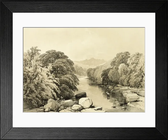 Framed Print : Ash, Sycamore and Oak, from The Park and the Forest, 1841 Framed Print : Ash, Sycamore and Oak, from The Park and the Forest, 1841