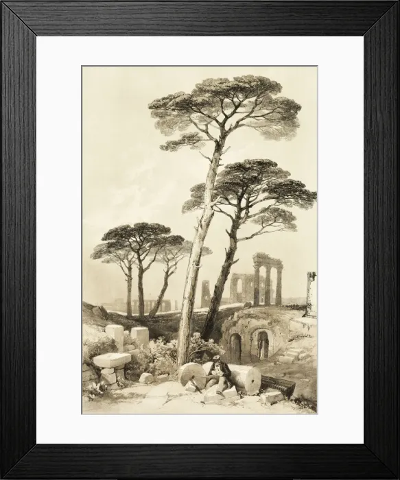 Framed Print : Stone Pines, from The Park and the Forest, 1841. Creator: James Duffield Harding Framed Print : Stone Pines, from The Park and the Forest, 1841. Creator: James Duffield Harding