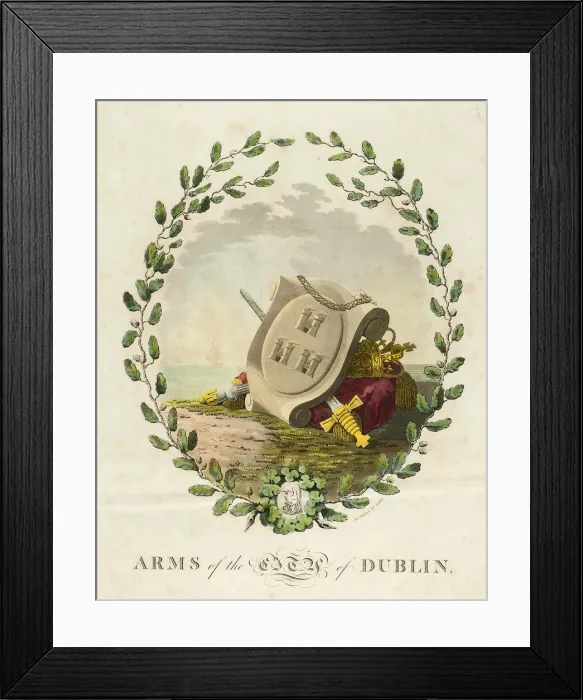 Framed Print : Dublin, published July 1792. Creator: James Malton Framed Print : Dublin, published July 1792. Creator: James Malton