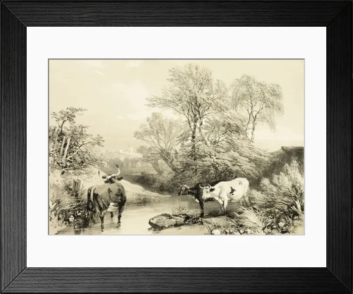 Framed Print : Thorn, Willow, Beech and Birch, from The Park and the Forest, 1841 Framed Print : Thorn, Willow, Beech and Birch, from The Park and the Forest, 1841