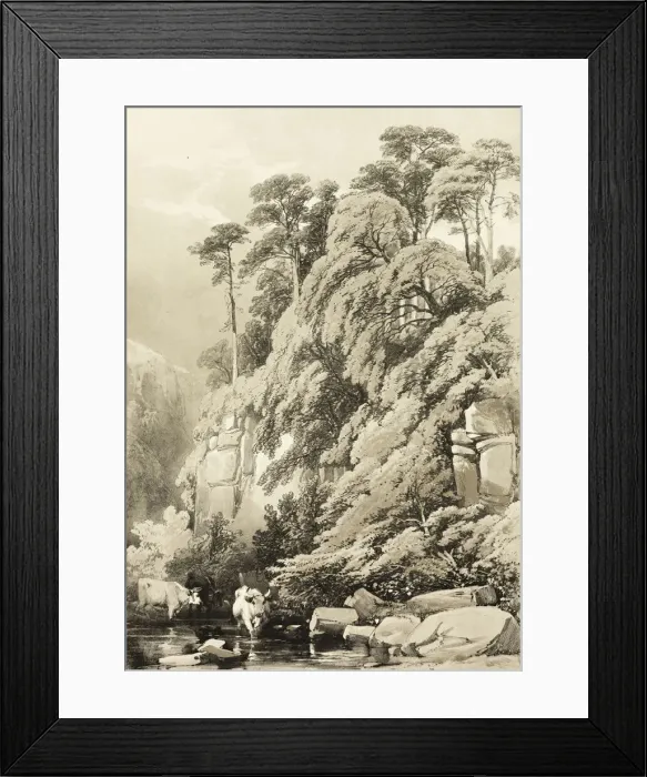 Framed Print : Wych Elm and Firs, from The Park and the Forest, 1841. Creator: James Duffield Harding Framed Print : Wych Elm and Firs, from The Park and the Forest, 1841. Creator: James Duffield Harding