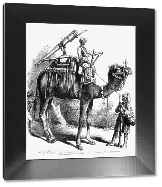 Camel Jingall, c1891. Creator: James Grant
