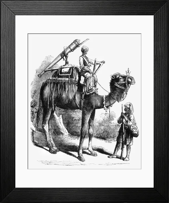 Framed Print : Camel Jingall, c1891. Creator: James Grant Framed Print : Camel Jingall, c1891. Creator: James Grant