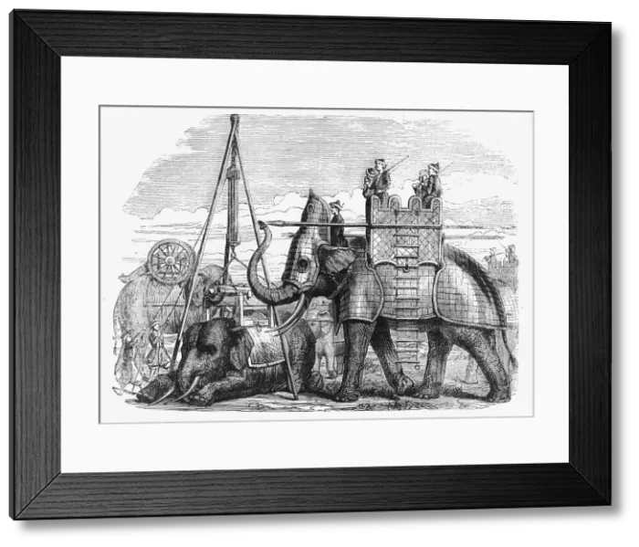 Framed Print : Elephant Equipped for Battle, with Armou, Howdah, Etc. c1891. Creator: James Grant Framed Print : Elephant Equipped for Battle, with Armou, Howdah, Etc. c1891. Creator: James Grant