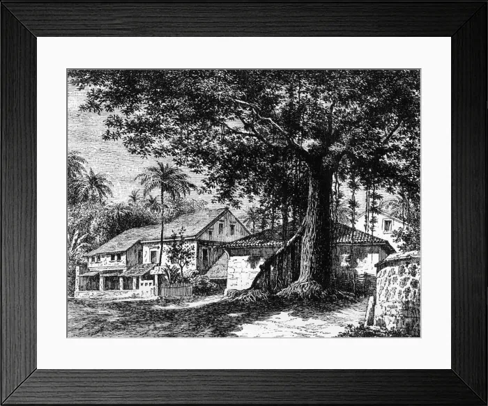Framed Print : View of a Street in Mazago, Bombay, c1891. Creator: James Grant
