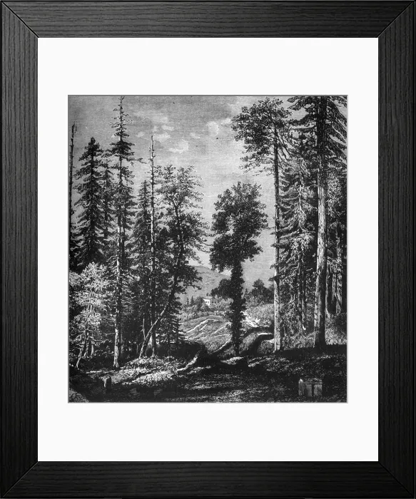 Framed Print : View in the Himalayas, c1891. Creator: James Grant Framed Print : View in the Himalayas, c1891. Creator: James Grant