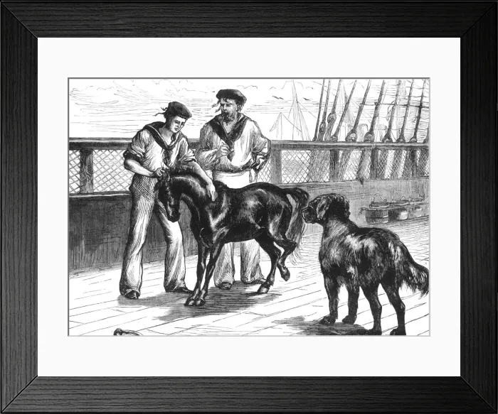 Framed Print : On Board The Serapis': The Pony and Thibet Mastiff, c1891. Creator: James Grant Framed Print : On Board The Serapis': The Pony and Thibet Mastiff, c1891. Creator: James Grant