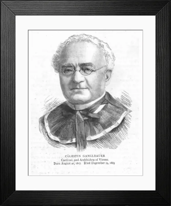 Framed Print : Colestin Ganglbauer. Cardinal, and Archbishop of Vienna, 1890. Creator: Unknown Framed Print : Colestin Ganglbauer. Cardinal, and Archbishop of Vienna, 1890. Creator: Unknown