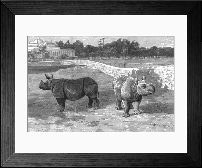 Framed Print : An Indian Prince at Home; The Palace and Grounds of the Maharajah of Dharbhanga, K. C. I. E. In the P Creator: Unknown Framed Print : An Indian Prince at Home; The Palace and Grounds of the Maharajah of Dharbhanga, K. C. I. E. In the P Creator: Unknown