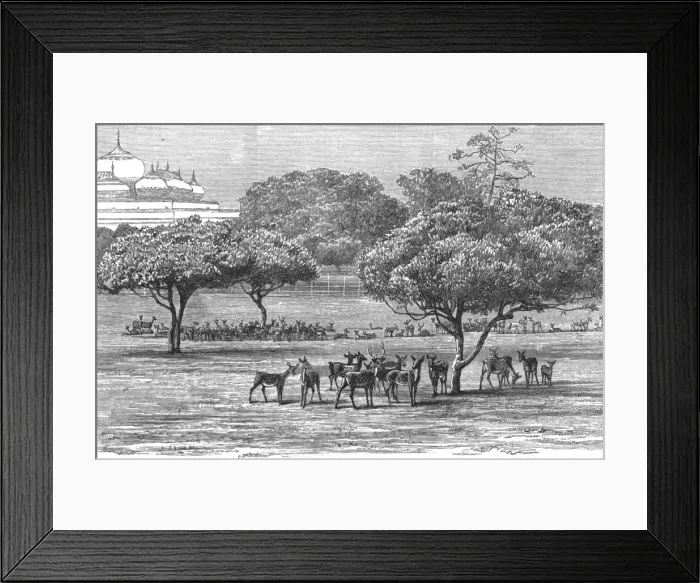 Framed Print : An Indian Prince at Home; The Palace and Grounds of the Maharajah of Dharbhanga, K. C. I. E. In the P Creator: Unknown Framed Print : An Indian Prince at Home; The Palace and Grounds of the Maharajah of Dharbhanga, K. C. I. E. In the P Creator: Unknown