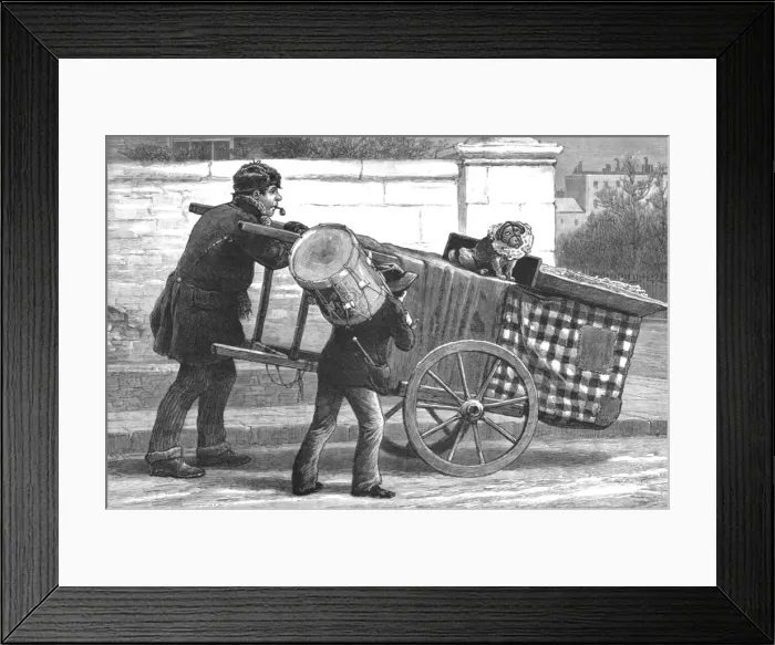 Framed Print : An Insult to the Profession; The renewal of the Muzzling Order--Dog Toby Muzzled, 1890. Creator: Unknown Framed Print : An Insult to the Profession; The renewal of the Muzzling Order--Dog Toby Muzzled, 1890. Creator: Unknown