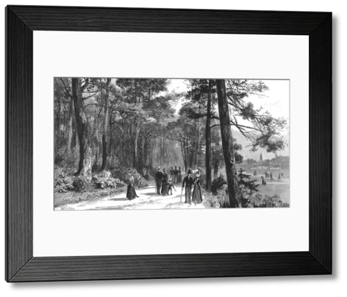 Framed Print : Visit of the Prince of Wales to Bournemouth; The Invalids Walk in Public Gardens, 1890. Creator: Unknown Framed Print : Visit of the Prince of Wales to Bournemouth; The Invalids Walk in Public Gardens, 1890. Creator: Unknown