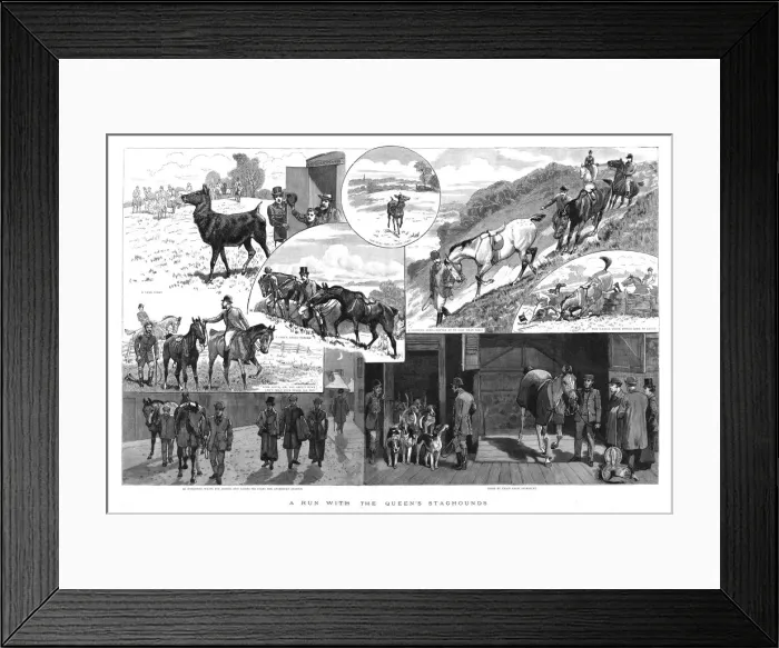 Framed Print : A run with the Queens Staghounds, 1890. Creator: Unknown Framed Print : A run with the Queens Staghounds, 1890. Creator: Unknown