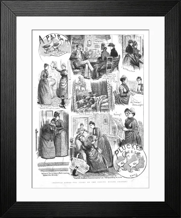 Framed Print : Plucked Geese--The story of the Gobang Mining Company, 1890. Creator: Unknown Framed Print : Plucked Geese--The story of the Gobang Mining Company, 1890. Creator: Unknown