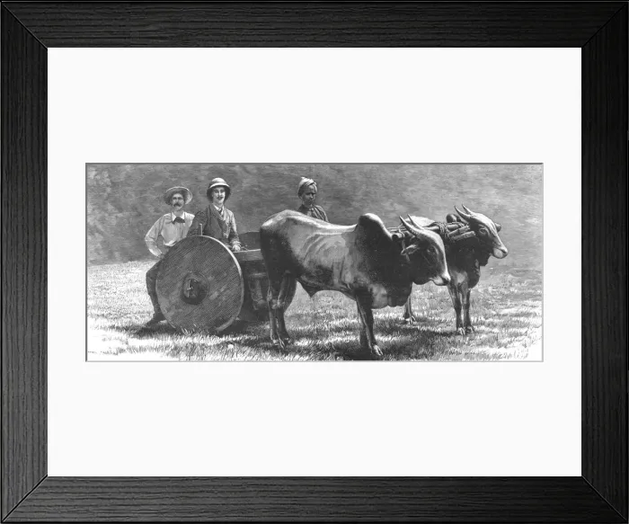 Framed Print : Prince Albert Victor with the Elephant King'in a Jungle Waggon in Mysore, India, 1890. Creator: Unknown Framed Print : Prince Albert Victor with the Elephant King'in a Jungle Waggon in Mysore, India, 1890. Creator: Unknown