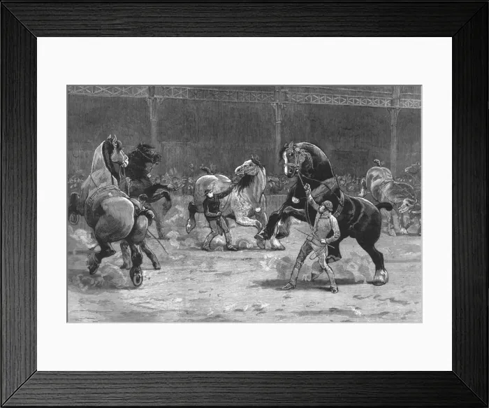 Framed Print : The Shire Horse Show at the Agricultural Hall--The effect of applause, 1890. Creator: Unknown Framed Print : The Shire Horse Show at the Agricultural Hall--The effect of applause, 1890. Creator: Unknown
