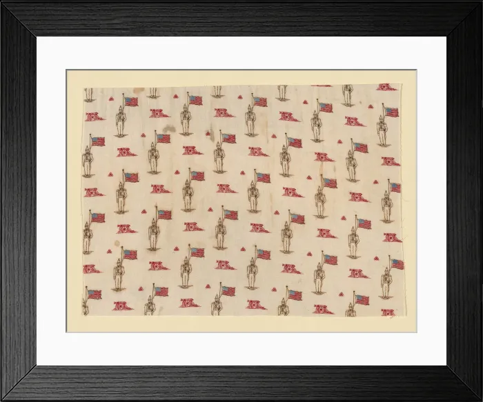 Framed Print : Fragment, United States, 1876. Creator: Unknown Framed Print : Fragment, United States, 1876. Creator: Unknown