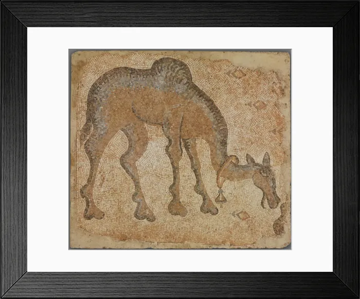 Framed Print : Mosaic Fragment with Grazing Camel, 5th century. Creator: Unknown Framed Print : Mosaic Fragment with Grazing Camel, 5th century. Creator: Unknown