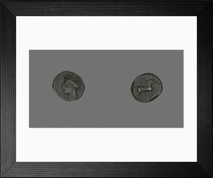 Framed Print : Coin Depicting a Horse and Palm Tree, 3rd century BCE. Creator: Unknown Framed Print : Coin Depicting a Horse and Palm Tree, 3rd century BCE. Creator: Unknown