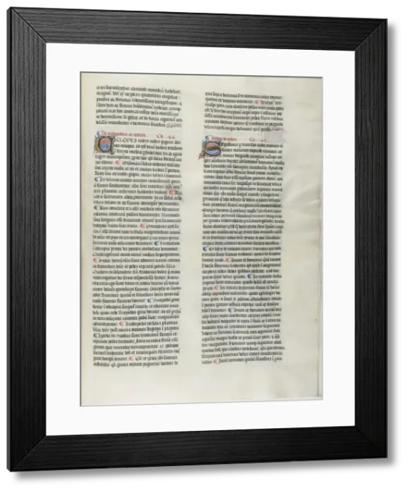 Framed Print : Folio Fourteen from Burchard of Sions De locis ac mirabilibus mundi, or an Illuminated... c. 1460. Creator: Burchard of Mount Sion Framed Print : Folio Fourteen from Burchard of Sions De locis ac mirabilibus mundi, or an Illuminated... c. 1460. Creator: Burchard of Mount Sion