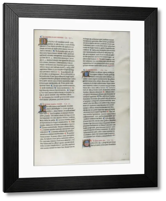 Framed Print : Folio Nineteen from Burchard of Sions De locis ac mirabilibus mundi, or an Illuminated... c. 1460. Creator: Burchard of Mount Sion Framed Print : Folio Nineteen from Burchard of Sions De locis ac mirabilibus mundi, or an Illuminated... c. 1460. Creator: Burchard of Mount Sion