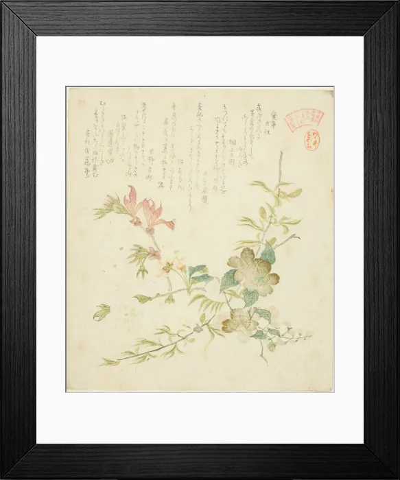 Framed Print : Various Spring Flowers, from the series Springtime Plants and Trees for the Kasumi Poe... c. 1820. Creator: Kubo Shunman Framed Print : Various Spring Flowers, from the series Springtime Plants and Trees for the Kasumi Poe... c. 1820. Creator: Kubo Shunman