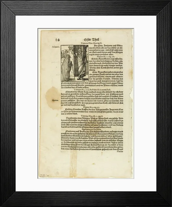 Framed Print : Illustration from Plinius Naturgeschichte by J. Heyden, plate 49 from Woodcuts from... 1937. Creators: Jost Ammon, Max Geisberg, Pliny the Elder