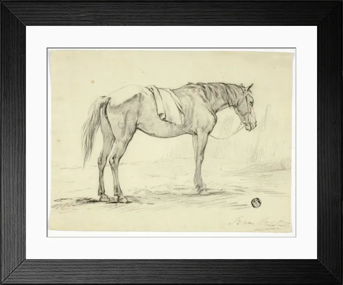 Framed Print : Standing Horse, n. d. Creator: Unknown Framed Print : Standing Horse, n. d. Creator: Unknown