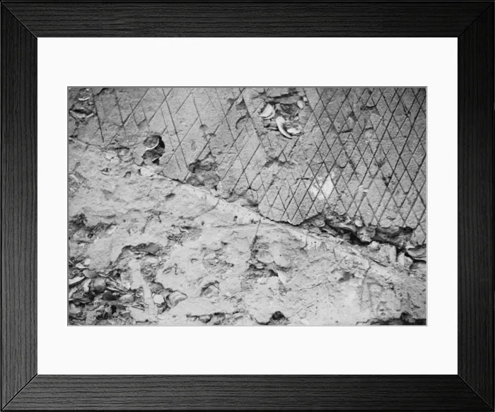 Framed Print : Ruins of supposed Spanish mission, Georgia, 1935. Creator: Walker Evans Framed Print : Ruins of supposed Spanish mission, Georgia, 1935. Creator: Walker Evans