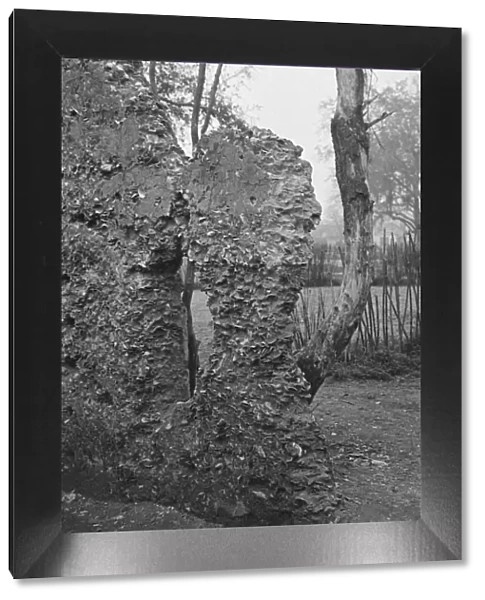 Possibly: Tabby construction, ruins of supposed Spanish mission, St. Marys, Georgia, 1936. Creator: Walker Evans