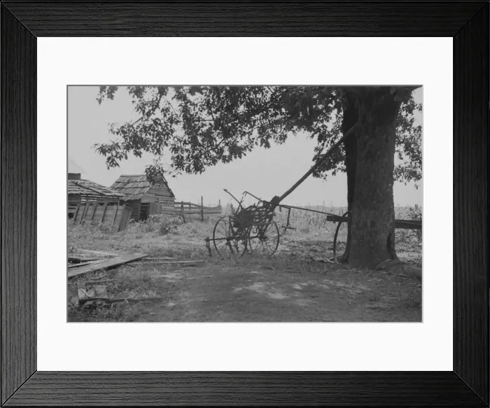 Framed Print : A sharecroppers yard, Hale County, Alabama, 1936. Creator: Walker Evans Framed Print : A sharecroppers yard, Hale County, Alabama, 1936. Creator: Walker Evans