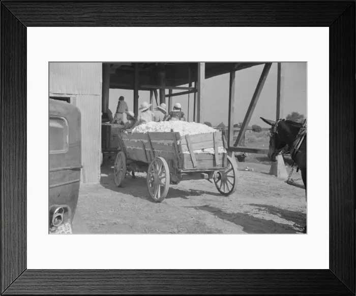 Framed Print : At the cotton gin, Cotton gin and wagons, Hale County, Alabama, 1936. Creator: Walker Evans Framed Print : At the cotton gin, Cotton gin and wagons, Hale County, Alabama, 1936. Creator: Walker Evans