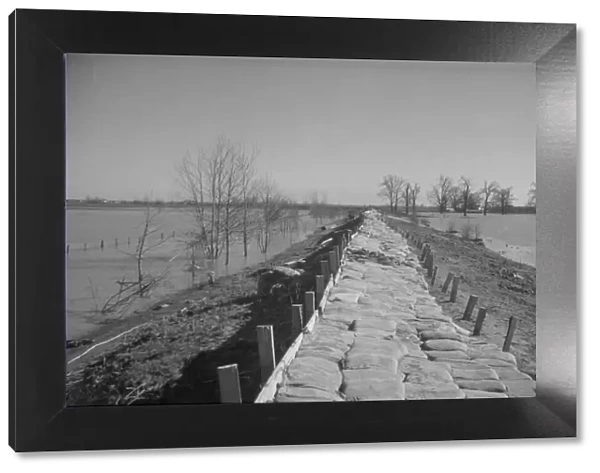The Bessie Levee augmented with sand bags, near Tiptonville, Tennessee, 1937. Creator: Walker Evans