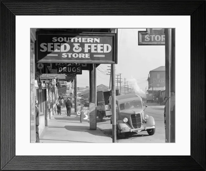 Framed Print : French market sidewalk scene, Waterfront in New Orleans, Louisiana, 1935. Creator: Walker Evans Framed Print : French market sidewalk scene, Waterfront in New Orleans, Louisiana, 1935. Creator: Walker Evans