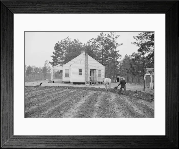 Framed Print : Briar Patch Project, Resettlement homestead near Eatonton, Georgia, 1936. Creator: Walker Evans Framed Print : Briar Patch Project, Resettlement homestead near Eatonton, Georgia, 1936. Creator: Walker Evans