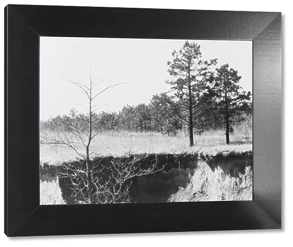 Erosion near Oxford, Mississippi, 1936. Creator: Walker Evans