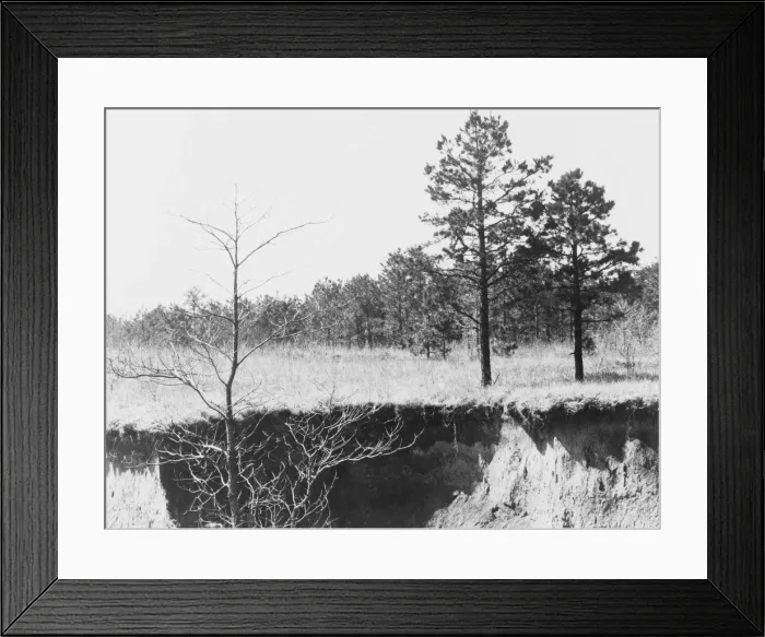 Framed Print : Erosion near Oxford, Mississippi, 1936. Creator: Walker Evans Framed Print : Erosion near Oxford, Mississippi, 1936. Creator: Walker Evans