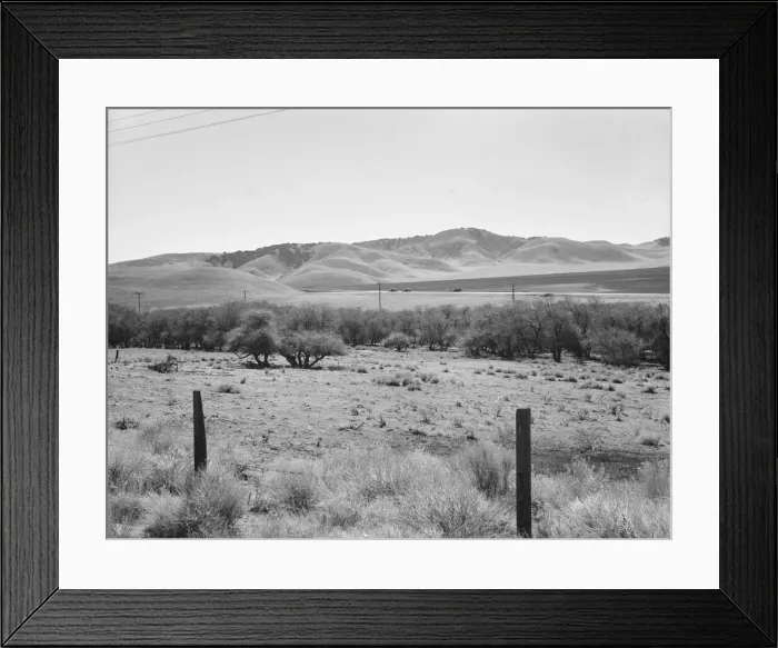Framed Print : U. S. 99 on ridge over Tehachapi Mountains, 1939. Creator: Dorothea Lange Framed Print : U. S. 99 on ridge over Tehachapi Mountains, 1939. Creator: Dorothea Lange
