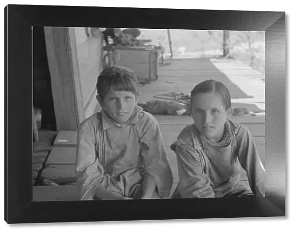 Tengle boys, Hale County, Alabama, 1936. Creator: Walker Evans