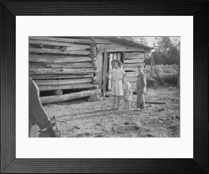 Framed Print : Burroughs children and cow near the barn, Hale County, Alabama, 1936. Creator: Walker Evans Framed Print : Burroughs children and cow near the barn, Hale County, Alabama, 1936. Creator: Walker Evans