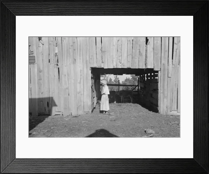 Framed Print : Dora Mae Tengle, sharecroppers daughter, Hale County, Alabama, 1936. Creator: Walker Evans Framed Print : Dora Mae Tengle, sharecroppers daughter, Hale County, Alabama, 1936. Creator: Walker Evans
