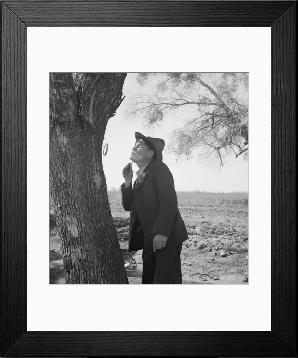 Framed Print : On U. S. 99 between Bakersfield and the Ridge, en route to San Diego, 1939. Creator: Dorothea Lange Framed Print : On U. S. 99 between Bakersfield and the Ridge, en route to San Diego, 1939. Creator: Dorothea Lange