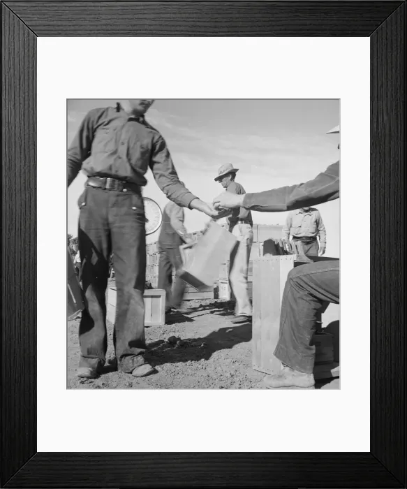 Framed Print : Paymaster on edge of pea fields pays a... near Calipatria, Imperial Valley, CA, 1939. Creator: Dorothea Lange