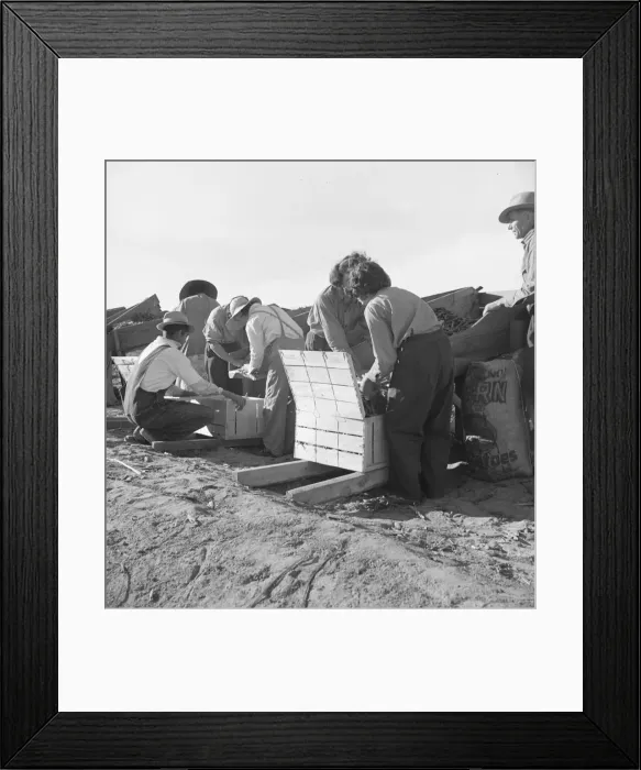 Framed Print : Large-scale industrialized agriculture, Calipatria, Imperial Valley, California, 1939. Creator: Dorothea Lange Framed Print : Large-scale industrialized agriculture, Calipatria, Imperial Valley, California, 1939. Creator: Dorothea Lange