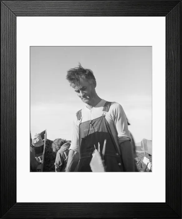 Framed Print : Straw boss of pea packers in the field near Calipatria, Imperial Valley, California, 1939. Creator: Dorothea Lange Framed Print : Straw boss of pea packers in the field near Calipatria, Imperial Valley, California, 1939. Creator: Dorothea Lange