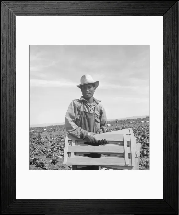 Framed Print : Filipino lettuce field laborer, Imperial Valley, California, 1939. Creator: Dorothea Lange Framed Print : Filipino lettuce field laborer, Imperial Valley, California, 1939. Creator: Dorothea Lange