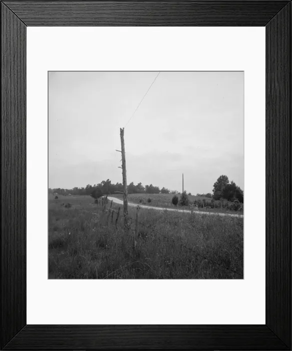 Framed Print : Route 501, one mile north of Bethel Hill High School, Person County, 1939. Creator: Dorothea Lange Framed Print : Route 501, one mile north of Bethel Hill High School, Person County, 1939. Creator: Dorothea Lange