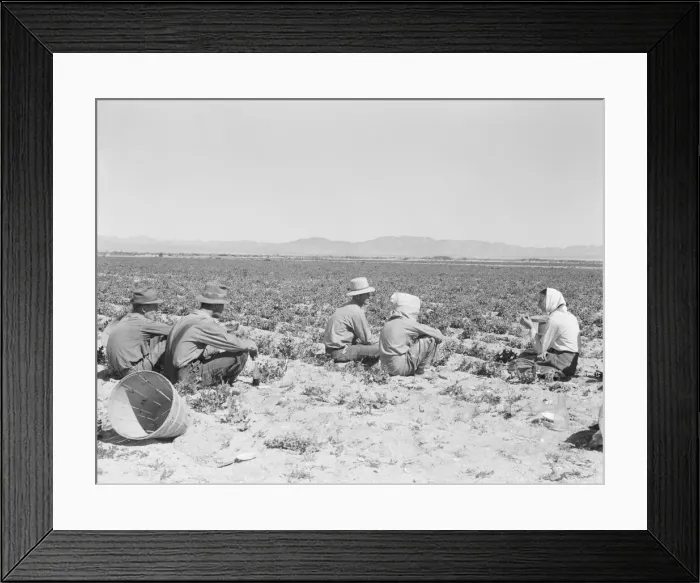 Framed Print : Lunchtime in the field, camp in background, near Calipatria, California, 1939. Creator: Dorothea Lange Framed Print : Lunchtime in the field, camp in background, near Calipatria, California, 1939. Creator: Dorothea Lange